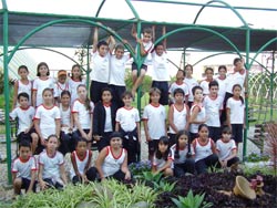 dest.4-vesp.jpg